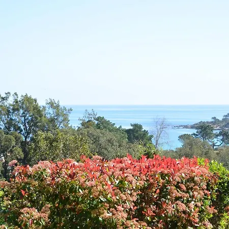 Апартаменты Oro 53